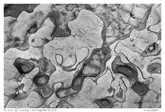 Eroded patterns in shale rocks. Point Lobos State Preserve, California, USA