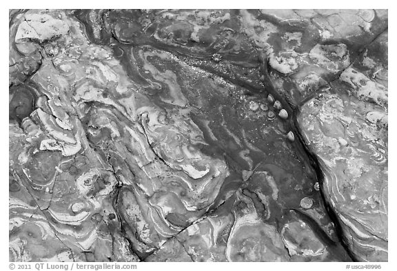 Layers of sand stone, and mudstone. Point Lobos State Preserve, California, USA (black and white)