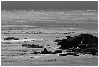 Rocks and backlit water, Carmel Bay. Carmel-by-the-Sea, California, USA (black and white)