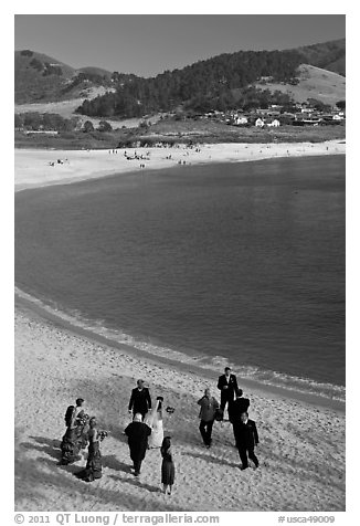 Wedding party on Carmel River Beach. Carmel-by-the-Sea, California, USA