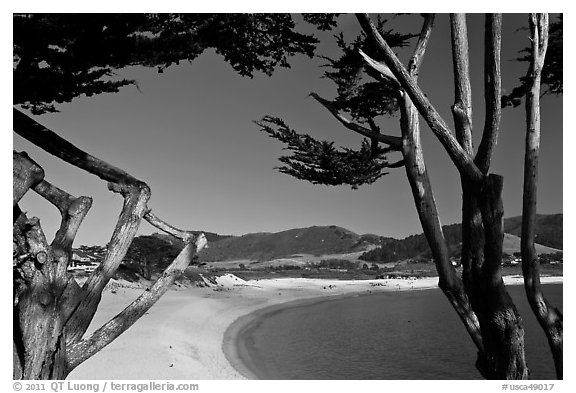 Carmel River Beach framed by Cypress trees. Carmel-by-the-Sea, California, USA (black and white)