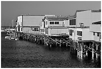 Pier, Monterey Harbor. Monterey, California, USA ( black and white)