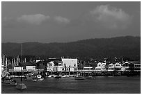 Fishermans wharf, Monterey harbor. Monterey, California, USA ( black and white)