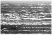 Waves at sunset. Carmel-by-the-Sea, California, USA ( black and white)