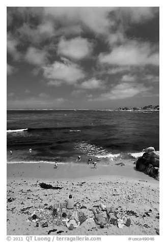 People sunning themselves on beach. Pacific Grove, California, USA