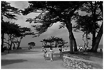Lovers Point Park. Pacific Grove, California, USA (black and white)