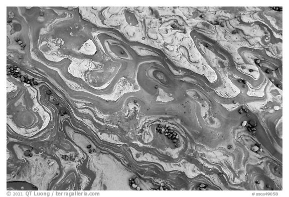 Shale mudstone and volcanic pebbles. Point Lobos State Preserve, California, USA (black and white)