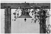 Historic bell. Monterey, California, USA ( black and white)