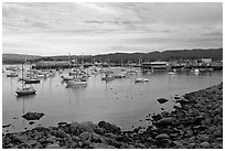 Harbor and Fishermans Wharf, late afternoon. Monterey, California, USA (black and white)