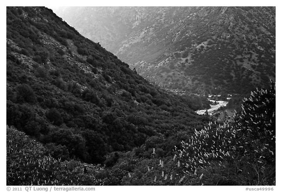 At the bottom of Kings Canyon. Giant Sequoia National Monument, Sequoia National Forest, California, USA (black and white)