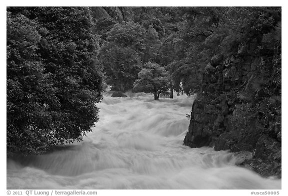 South Fork of the Kings River in spring run-off, Giant Sequoia National Monument near Kings Canyon National Park. California, USA (black and white)