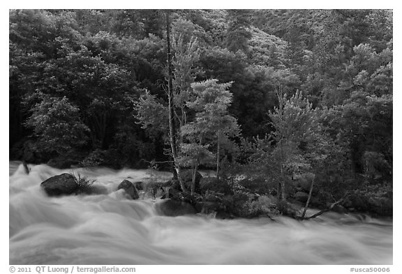 Spring along South Fork of the Kings River. Giant Sequoia National Monument, Sequoia National Forest, California, USA (black and white)