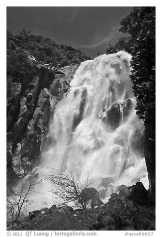 Grizzly Fall, Sequoia National Forest, Giant Sequoia National Monument near Kings Canyon National Park. California, USA (black and white)