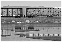 Freight train cars, Alviso. San Jose, California, USA (black and white)