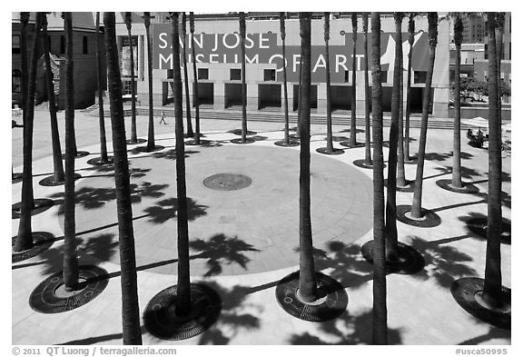 Palm trees in front of San Jose Museum of Art. San Jose, California, USA (black and white)