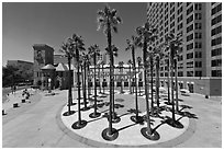 Circle of palm trees and San Jose Museum of Art. San Jose, California, USA ( black and white)