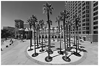 Circle of palm trees and San Jose Museum of Art. San Jose, California, USA (black and white)