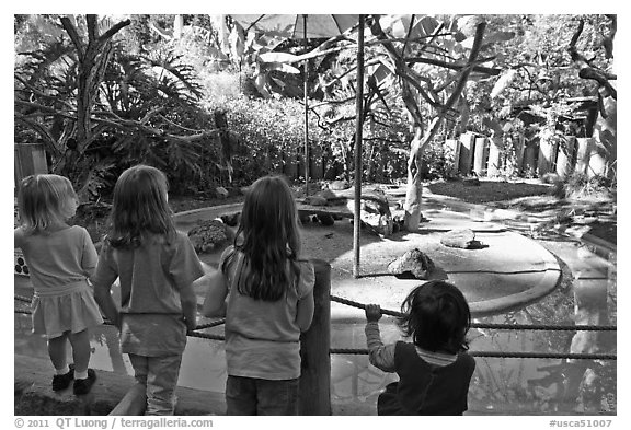 Children watching animal exhibit, Happy Hollow Zoo. San Jose, California, USA (black and white)