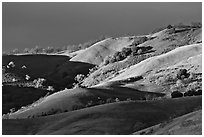 Hills at sunset, Evergreen. San Jose, California, USA ( black and white)