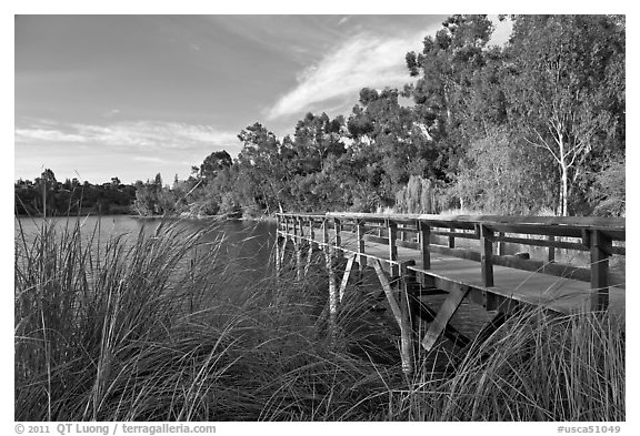 Pier and lake,  Vasona Lake County Park, Los Gatos. California, USA (black and white)