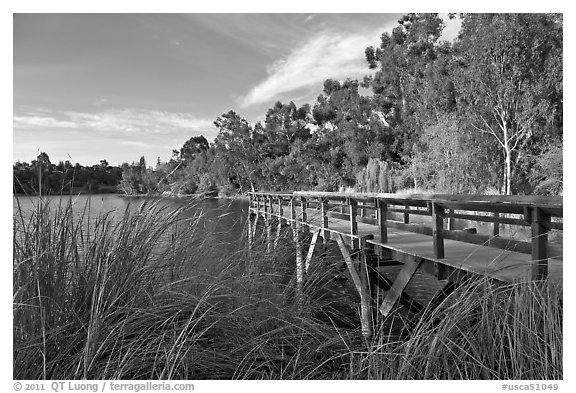 Pier and lake,  Vasona Lake County Park, Los Gatos. California, USA