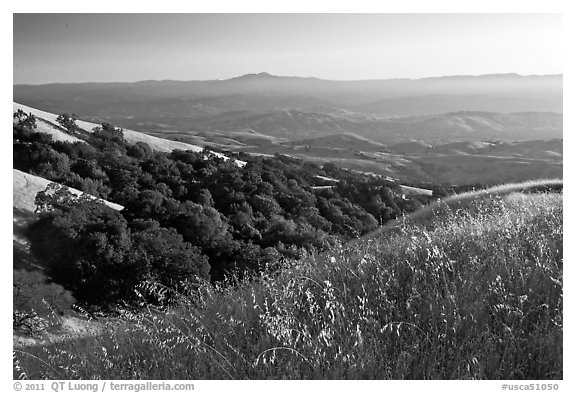 View from Evergreen Hills. San Jose, California, USA (black and white)