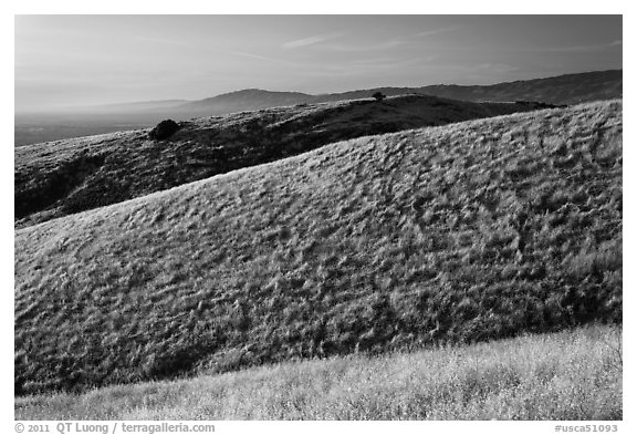 Hills, Santa Teresa County Park. San Jose, California, USA