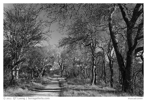 Trail, Almaden Quicksilver Park. San Jose, California, USA