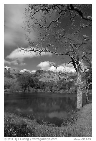 Pond, early spring, Joseph Grant Park. San Jose, California, USA (black and white)