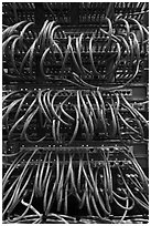 Computer server and cables. Menlo Park,  California, USA (black and white)