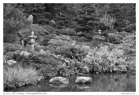 Pond and Japanese garden in autumn. Saragota,  California, USA