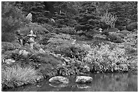 Pond and Japanese garden in autumn. Saragota,  California, USA (black and white)