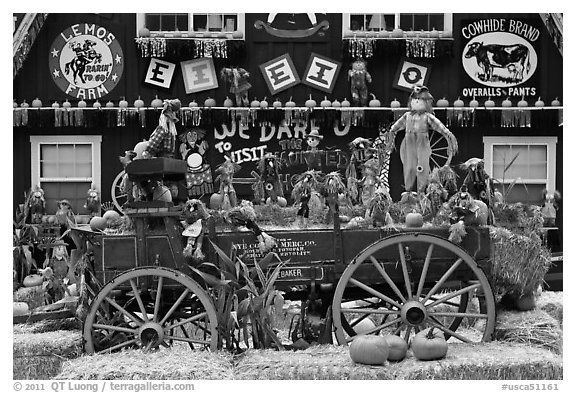 Decorations in pumpkin farm. Half Moon Bay, California, USA (black and white)