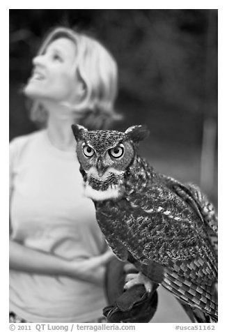Owl and handler, Alum Rock Park. San Jose, California, USA (black and white)