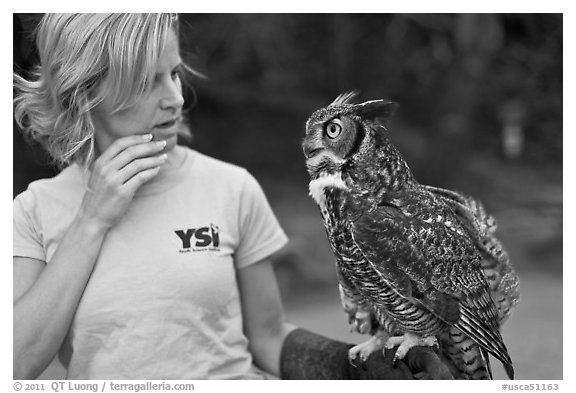 Owl perched on woman's arm, Alum Rock Park. San Jose, California, USA (black and white)