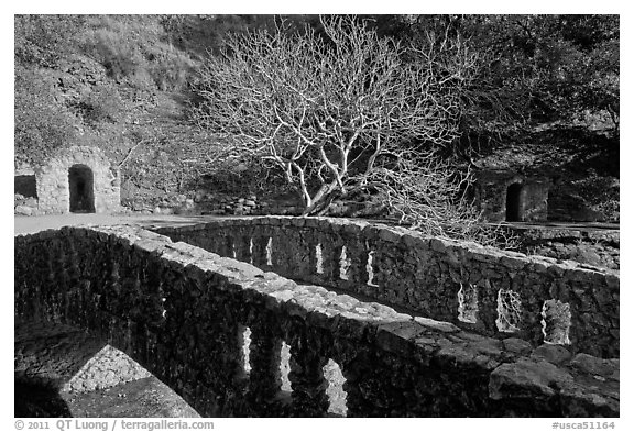 Stone bridge, tree, and grotto stonework, Alum Rock Park. San Jose, California, USA (black and white)