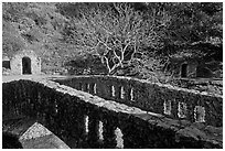 Stone bridge, tree, and grotto stonework, Alum Rock Park. San Jose, California, USA (black and white)