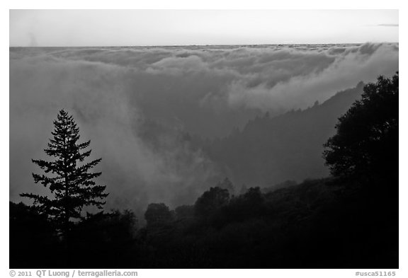 Sea of clouds at sunset above Santa Cruz Mountains. California, USA