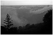 Sea of clouds at sunset above Santa Cruz Mountains. California, USA ( black and white)