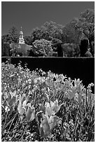 Flowers and garden shop, Filoli estate. Woodside,  California, USA (black and white)