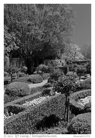 Hedges and flowers, walled garden, Filoli estate. Woodside,  California, USA (black and white)