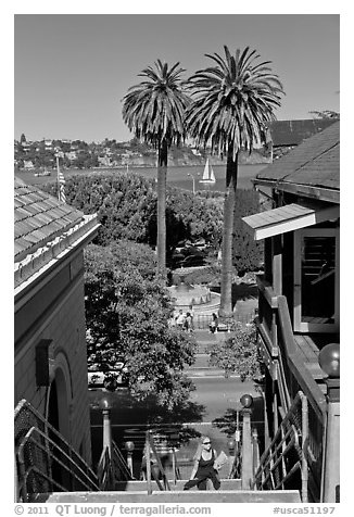 Park and Bay seen from stairs, Sausalito. California, USA