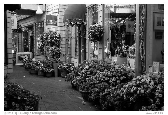 Alley with art galleries and flowers, Sausalito. California, USA