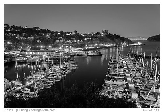 Belvedere Harbor at night. California, USA (black and white)