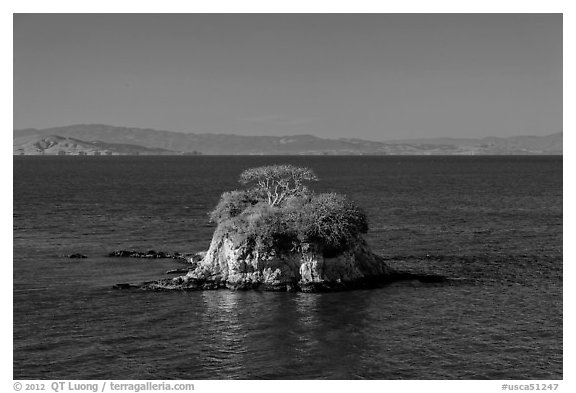 Rat Rock, China Camp State Park. San Pablo Bay, California, USA (black and white)