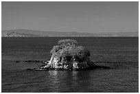 Rat Rock, China Camp State Park. San Pablo Bay, California, USA ( black and white)