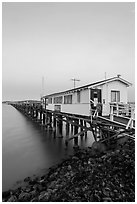 Pier on San Pablo Bay at sunset. San Pablo Bay, California, USA (black and white)