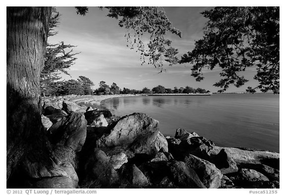 Beach, Robert W Crown Memorial State Beach. Alameda, California, USA