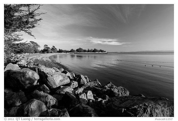 Beach in late afternoon, Robert W Crown Memorial State Beach. Alameda, California, USA (black and white)