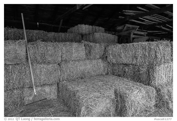 Hay in barn, Ardenwood farm, Fremont. California, USA (black and white)
